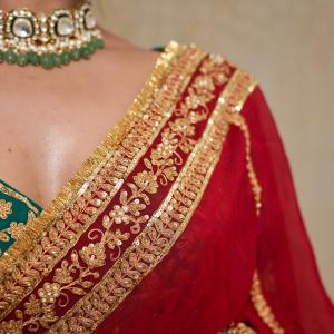 Cherry Amber Organza Saree